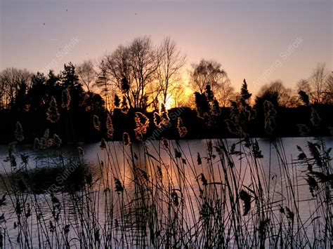 Sunset Over Needham Lake By Hazel Calver Anythingsuffolk A Range Of