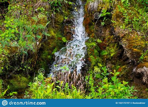 Waterfall Green Forest River Stream Landscape Stock Image