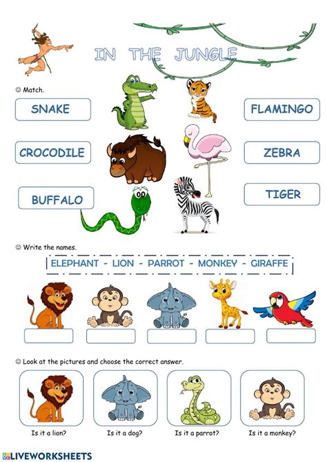 Vocabulary Interactive And Downloadable Worksheet You Can Do The Exercises Online Or Download