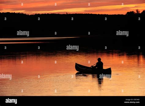 Paddling A Canoe On A Lake In The Evening Light Algonquin Provincial