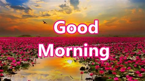 Good morning messages for friends. Daily Short Good Morning Prayer Messages and Quotes