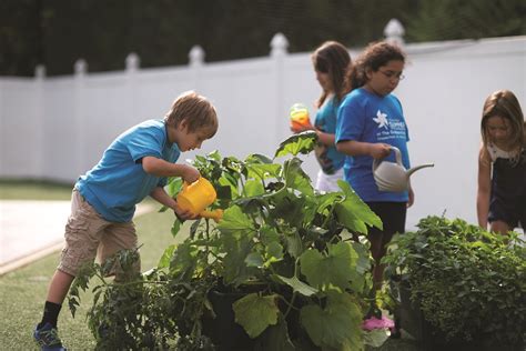 Five Benefits Of Teaching Children To Garden The Goddard School