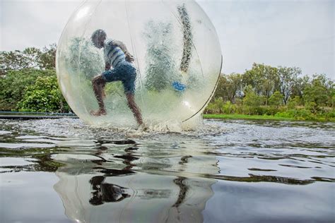 Bubble Ball | Activities | Redberry Farm