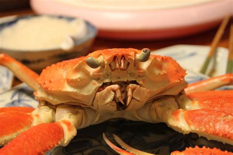 Image Result For Crab Face Crab Face Sea Creatures