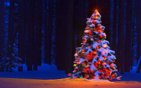 Christmas Tree Wallpapers Images Photos Pictures Backgrounds