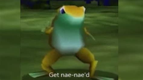 Get Nae Nae D Frog Meme Frog Pictures Memes