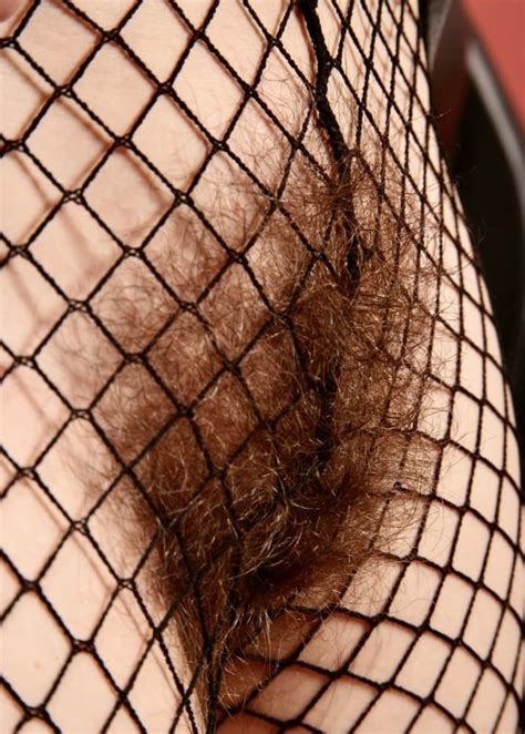 Very Hairy Bushes In See Through Panties 19 Pics XHamster