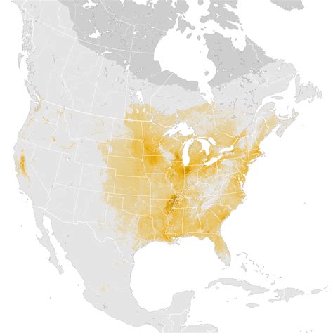 Wood Duck Abundance Map Post Breeding Migration Ebird Status And