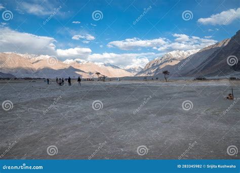 Hunder White Sand Desert In Nubra Valley Ladakh India Editorial