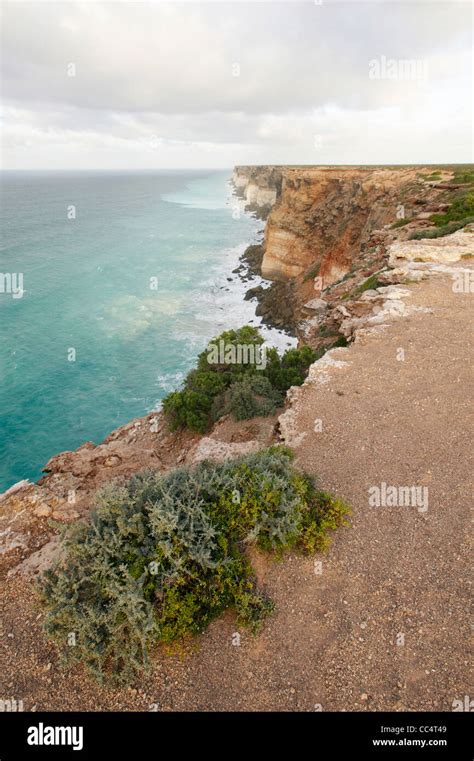 Elevated View Of Bunda Cliffs Great Australian Bight Marine Park