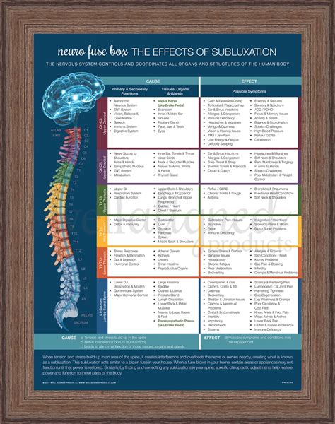 They can be taken down and moved around as well. NEURO Fuse Poster - Well Aligned Products