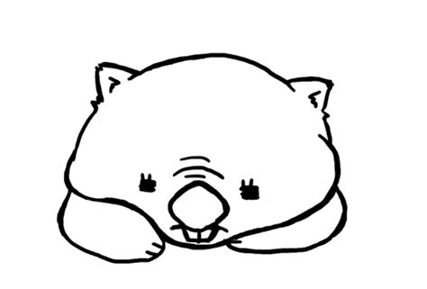 Wombat Drawing Free Download On Clipartmag