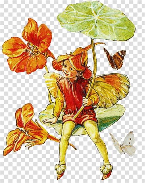 Free Download A Flower Fairy Alphabet The Book Of The Flower Fairies