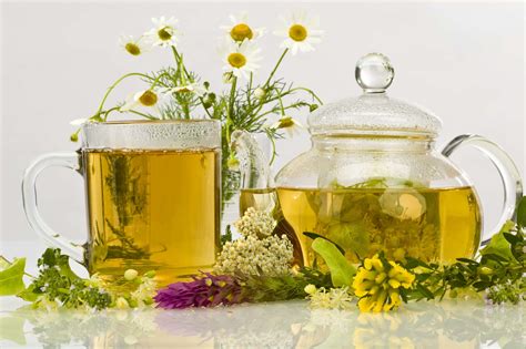 7 Herbal Teas To Naturally Improve Your Fertility