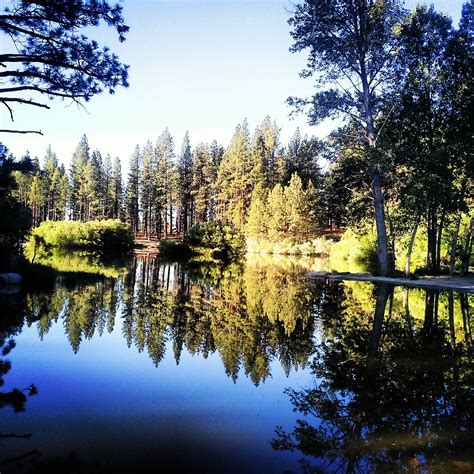 Free Images : landscape, tree, water, nature, forest, wilderness