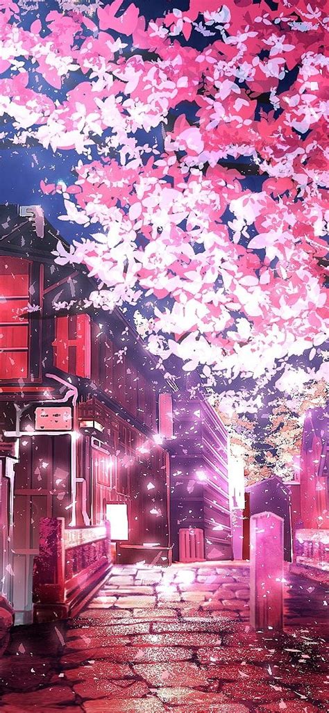 pink sakura tree sakura tree anime hd phone wallpaper pxfuel