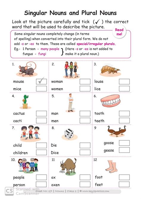 English Worksheets Grade 1 Chapter Nouns Key2practice Workbooks 1st
