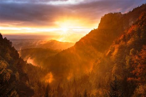 Free Photo Beautiful Autumn Forest Mountain Landscape At Sunset
