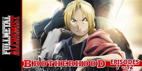 Fullmetal Alchemist Brotherhood 7 12 Hogan Reviews