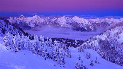 Purple Clouds Snow Winter Mountains Trees Sky