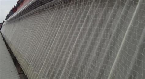 Pigeon Netting Installation In Birmingham Coverclad Services