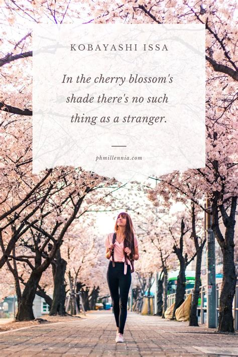 50 Beautiful And Brilliant Quotes About Cherry Blossoms Sakura Quotes