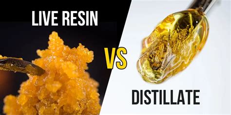 Differences Between Live Resin Vs Distillate Ape Premium Cannabis