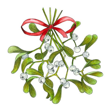Watercolor Christmas Mistletoe And Red Bows Isolated On White