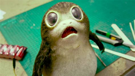 Porgs Are Now The Most Adorable Creatures In The Star Wars Universe