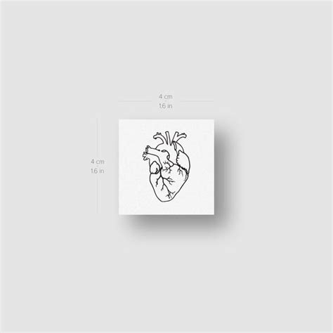 Anatomical Heart Outline Temporary Tattoo Set Of 3 Little Tattoos
