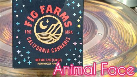 Fig Farms Animal Face Youtube