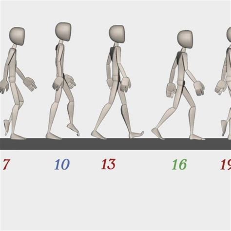 1 Walk Cycle Walk Cycle Animation