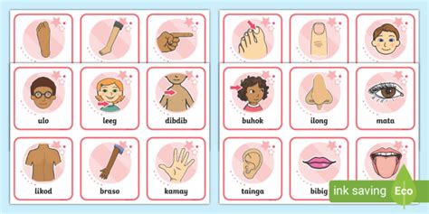 Free Filipino Flashcards Body Parts Bahagi Ng Katawan — 50 Off