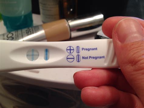 What Does A Positive Pregnancy Test Really Look Like Page 2 — The Bump