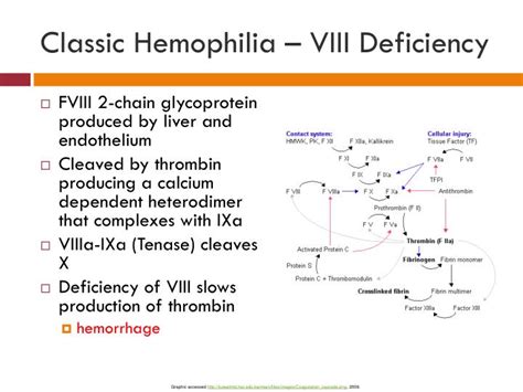 Ppt Hemophilia Royal Disease Powerpoint Presentation Id6072579