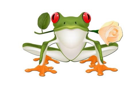 48 Animated Frog Wallpaper Wallpapersafari