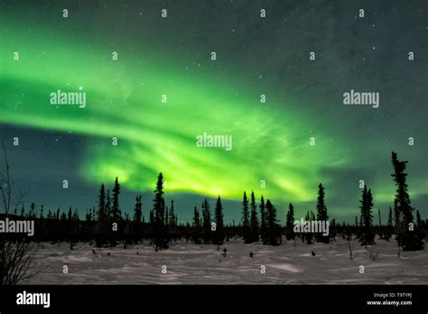 North America United States Alaska Tanana Valley Winter Night Sky