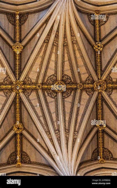 Westminster Abbey Fan Vaulted Ceiling Hi Res Stock Photography And