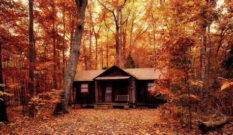 Cabin In Autumn Forest Photograph By Mountain Dreams Pixels