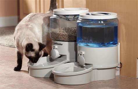 The feature that allows you to in other words, an automatic cat feeder with dead batteries will make your pet to starve the whole day vs a plugged automatic feeder that will go. 7 Best Automatic Cat Feeder Reviews (Updated 2018 ...
