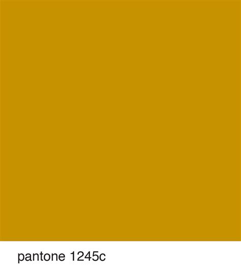 Pantone 1245c Golden Artist Colors Solid Color Backgrounds Pantone