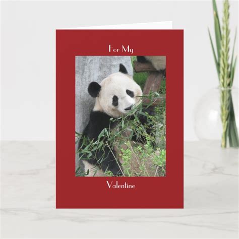 Giant Panda Valentines Day Red Cuddle And Hugs Holiday Card Zazzle