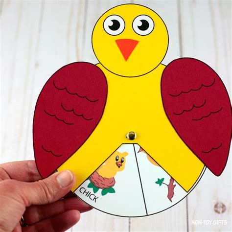 Bird Life Cycle Wheel Craft For Kids Non Toy Ts