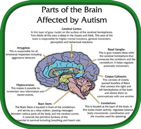Here Are Just A Few That Are Often Used To Treat Autistic Children