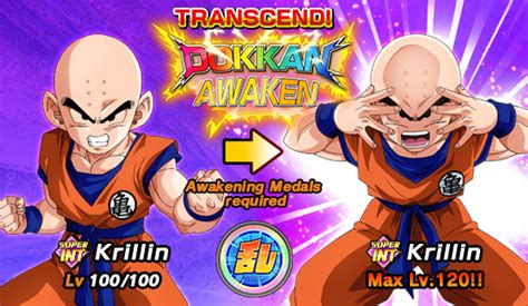 We did not find results for: The 12th "Virtual Dokkan Ultimate Clash"! | News | DBZ Space! Dokkan Battle Global