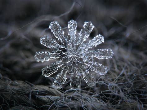 Photos of snowflakes up close - INSIDER | Snowflakes real ...