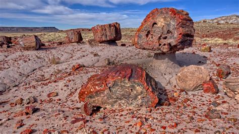 Petrified Wood In The Jasper Forest Of Petrified Forest National Park