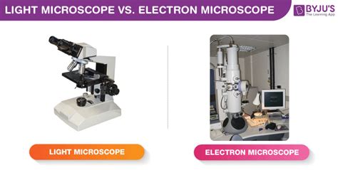 What Are The Main Differences Between Light And Electron Microscopes Americanwarmoms Org