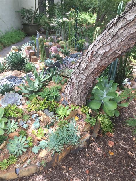 Today I Saw The Most Amazing Succulent Garden Ive Ever Seen Outside A