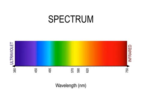 Wavelength Of Red Light Red Light Clinic